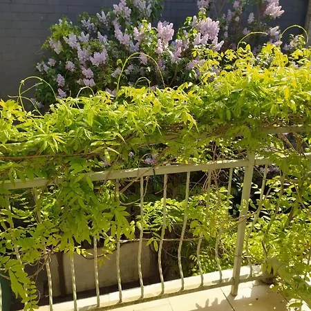 La Glycine Hypercentre Et Confort * Deauville