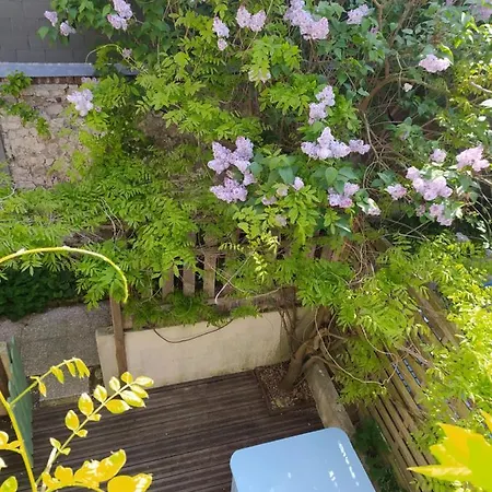 Feriehus La Glycine Hypercentre Et Confort Deauville