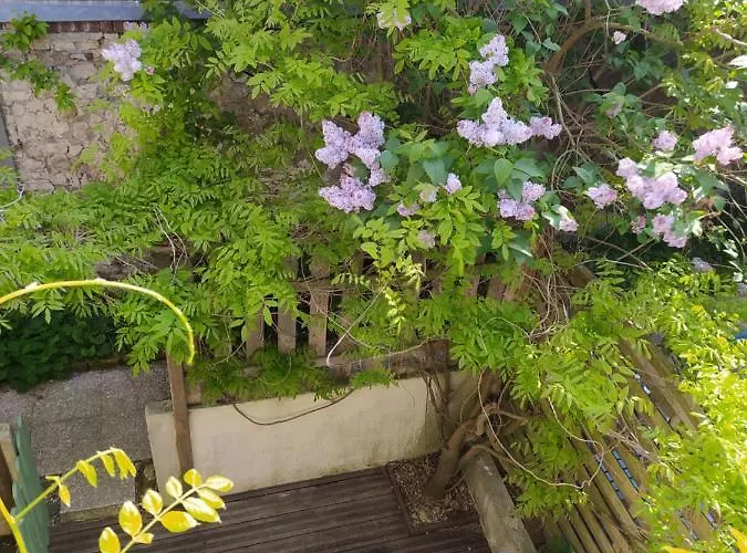 Semesterbostad La Glycine Hypercentre Et Confort Deauville